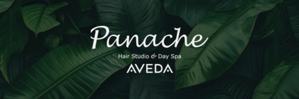Panacheboise