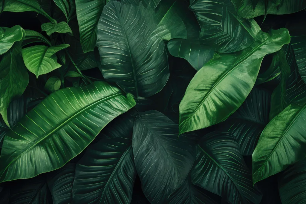 large-dark-green-leafs-natural-beauty-products-cosmetics-makeup-Aveda-products-luxurious-spa-experience-for-men-and-women-manicures-pedicures-weddings-special-events